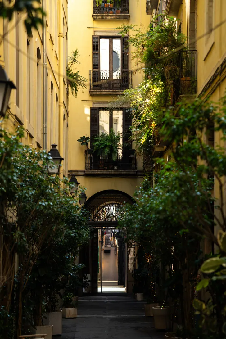 Cour intérieure végétalisée
