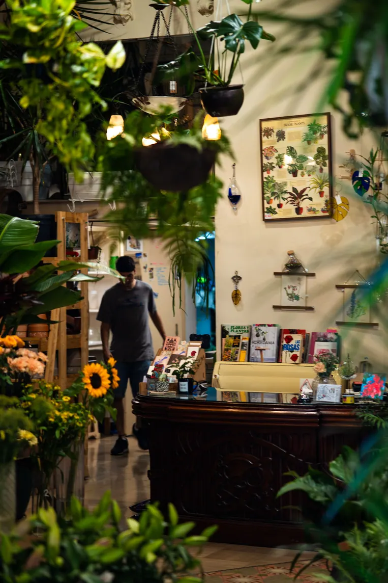 Boutique de plantes